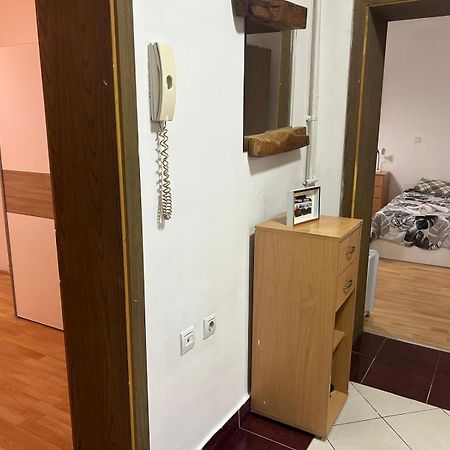 Elena Apartment 2 スコピエ エクステリア 写真