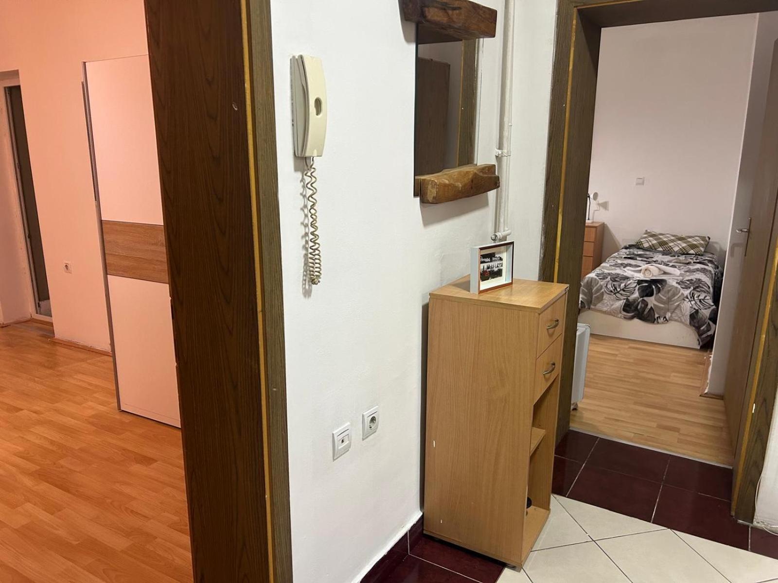 Elena Apartment 2 スコピエ エクステリア 写真