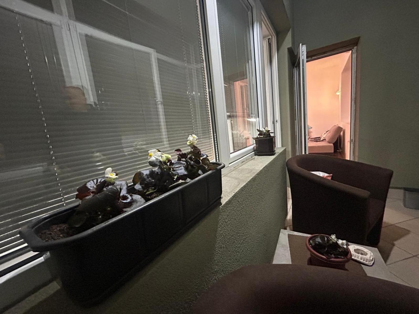 Elena Apartment 2 スコピエ エクステリア 写真