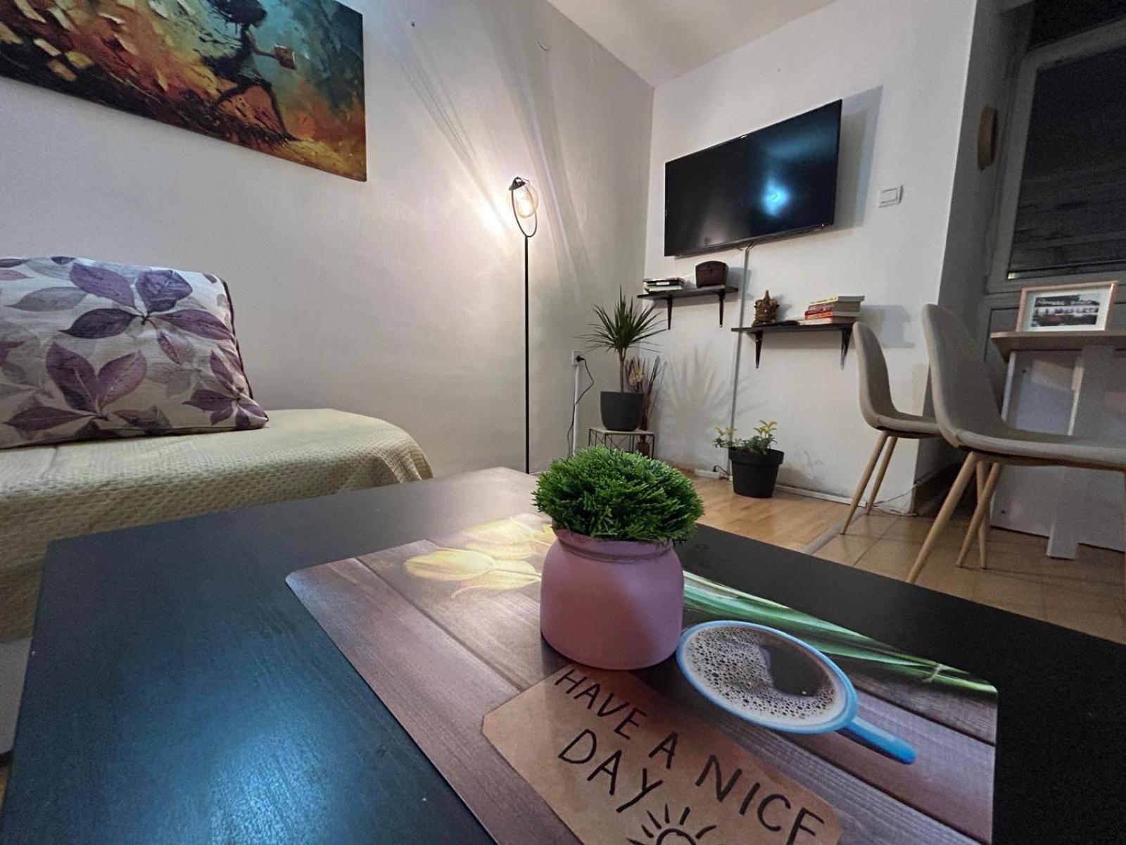Elena Apartment 2 スコピエ エクステリア 写真
