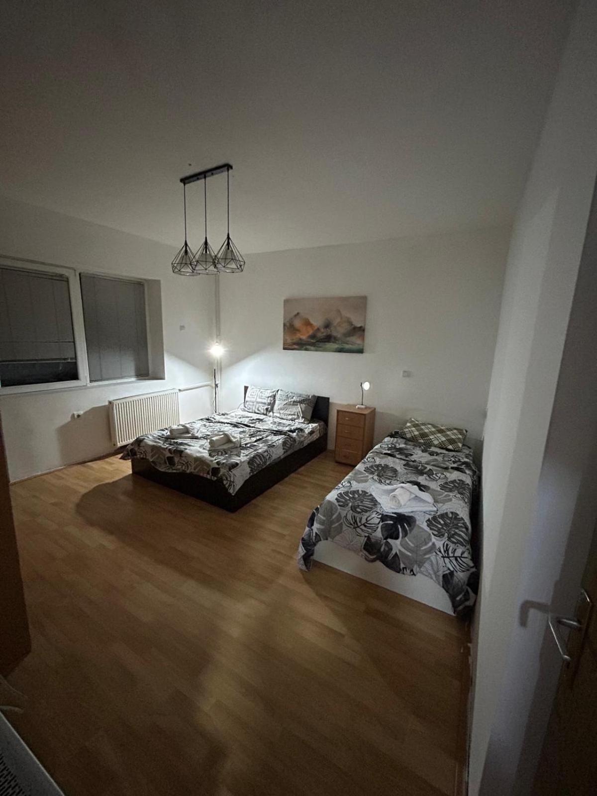 Elena Apartment 2 スコピエ エクステリア 写真