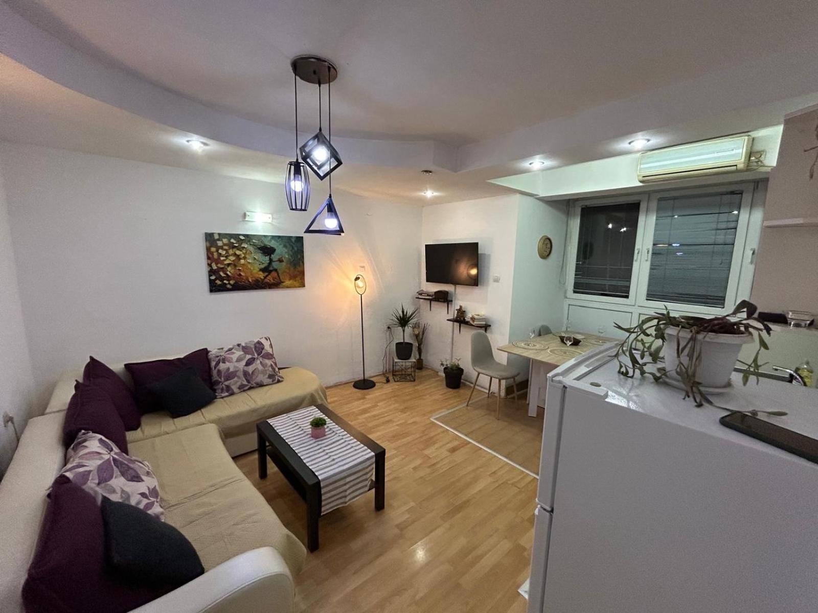 Elena Apartment 2 スコピエ エクステリア 写真