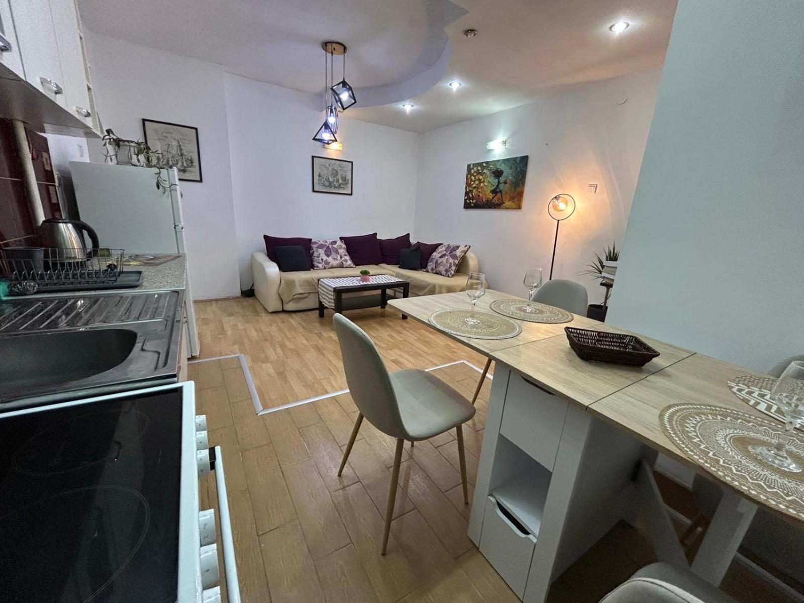 Elena Apartment 2 スコピエ エクステリア 写真